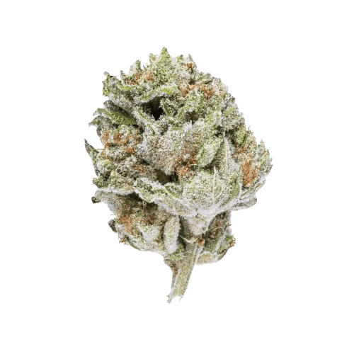 Canify Cannabis flos 18/1 LS Ku. Khanya Select