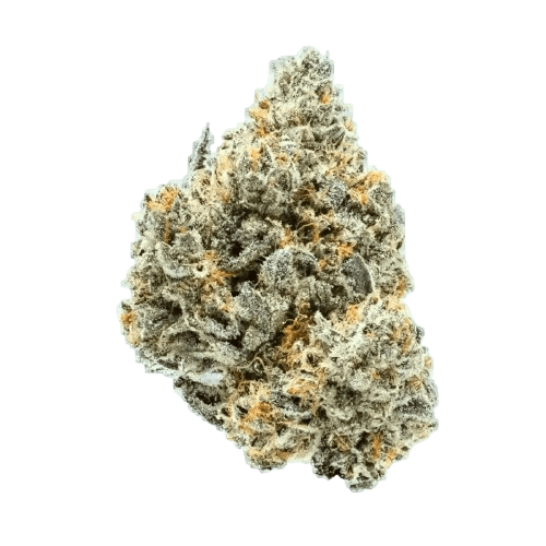 Remexian 27/1 PRT SCK 