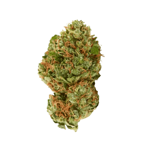 Remexian 30/1 CAL VVT Valvetron