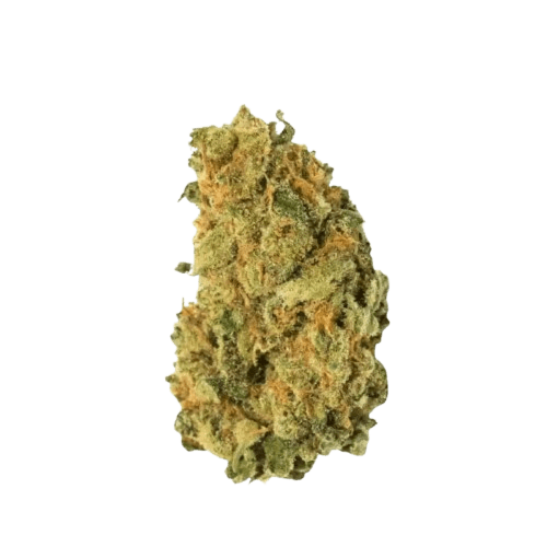 Remexian 15/1 LUX AMA Amsterdam Amnesia