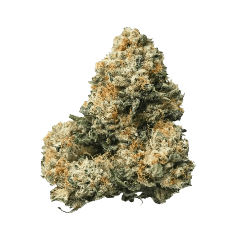 mediproCan Lunaris 23/1 Legend OG