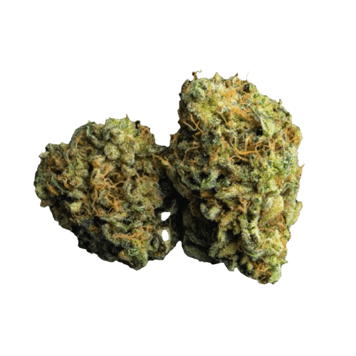 NICE 26/1 LC Lemon Cookies