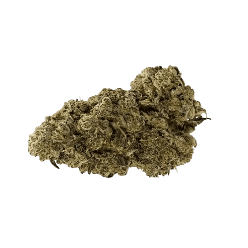 Remexian 24/1 GCC GUB Guava Bars