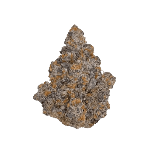 NICE 28/1 TRG GMO Tropical Gelato