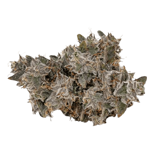 KHIRON ELG 30/1 El Gordo