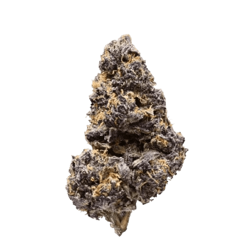 420 Evolution 33/1 CA MFG Modified Grapes