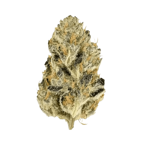 mediproCan Frosty Peaks 28/1