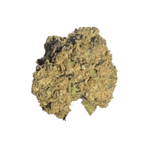 Canopy JHA 21/1 Jack Haze