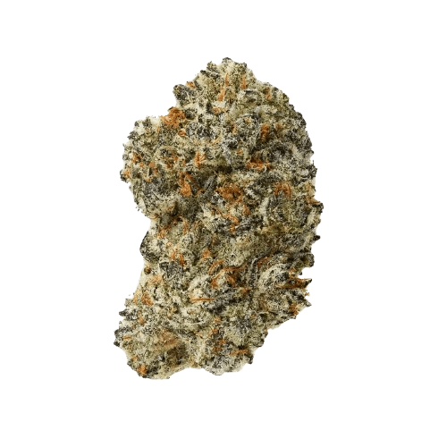 CannGo 28/1 WG Vegas Wedding Cake