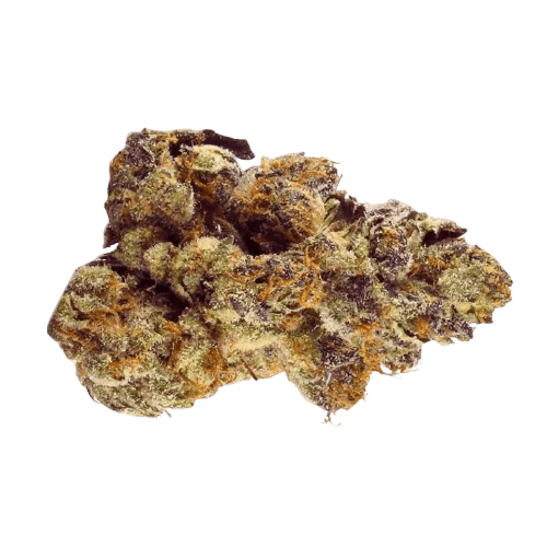 LOT 420 GLT Gelato33