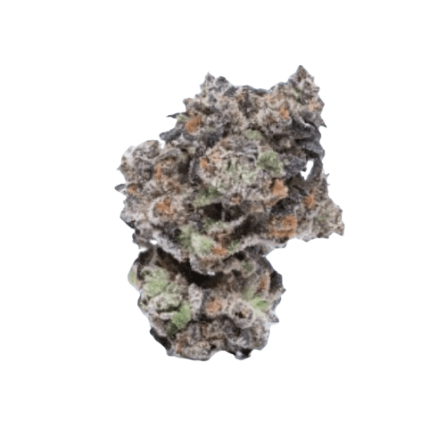 Cookies 22/1 Hawaiian Rain