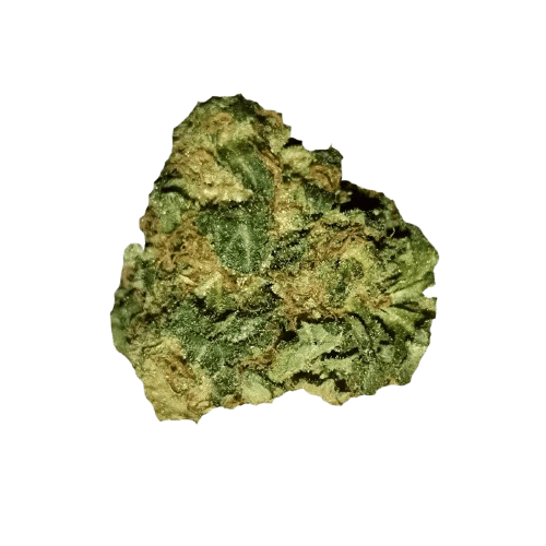 Tilray THC 18 Spotlight Porto Headband