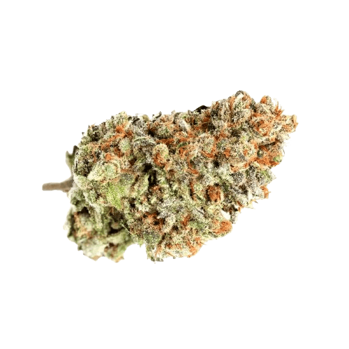 Tilray THC 18 Spotlight Porto Blueberry