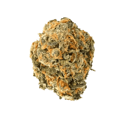 Cannamedical Hybrid Forte NM