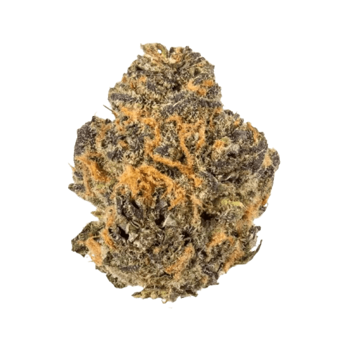 Huala 20/1 CA GRF Grape Face