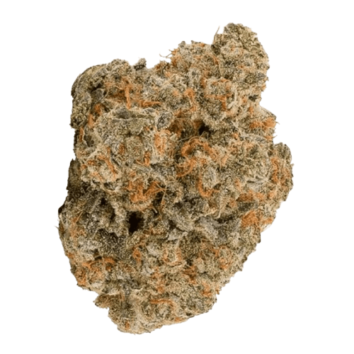 Bathera 28/1 BZ Blue Z