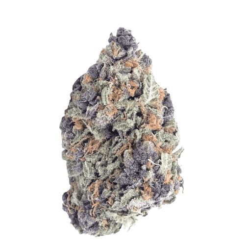 Remexian 30/1 CAL PTS Phantom Shape