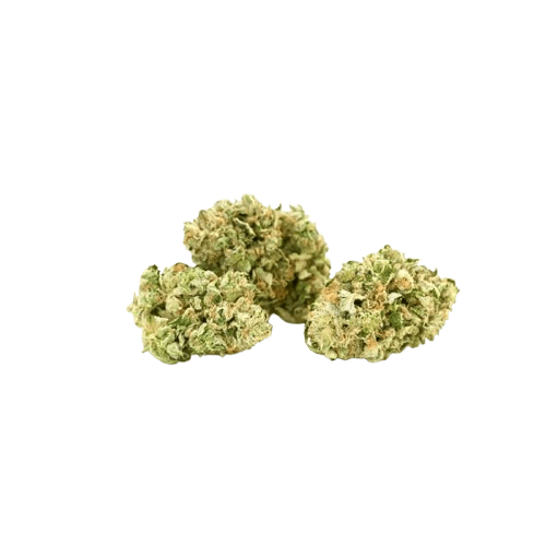 Tilray THC 22 Spotlight Porto Rockstar