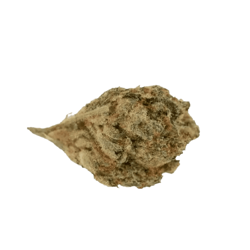 30/1 AMICI SP Scotti´s Purps