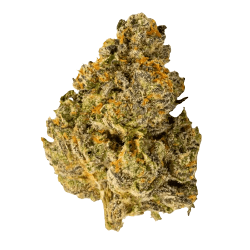 420 Compound 20/1 PT TGY Tigerz Eye
