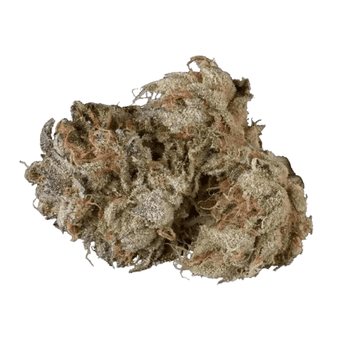 RUA AIO 27/1 8 Ball Kush