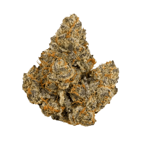 Bathera 28/1 FA Facetz