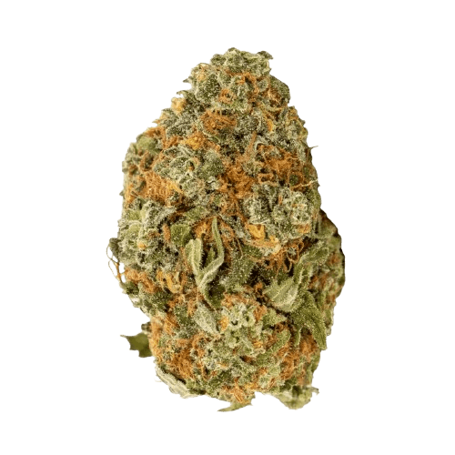 NICE 28/1 LK Lemon Kush