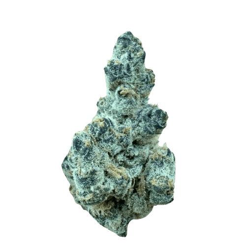 Rua Rau Hiwa 23/1 Legacy 1