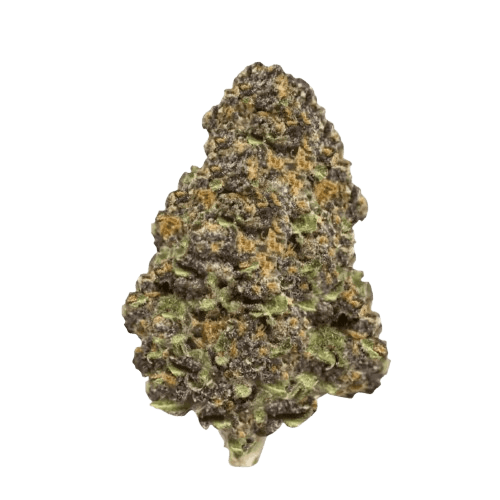 Cannamedical Hybrid Ultra BC Lemon Cookies