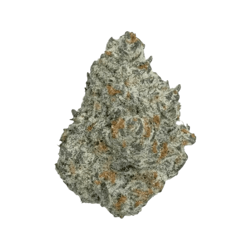 Medical Saints 21/1 ICC Ice Cream Cake
