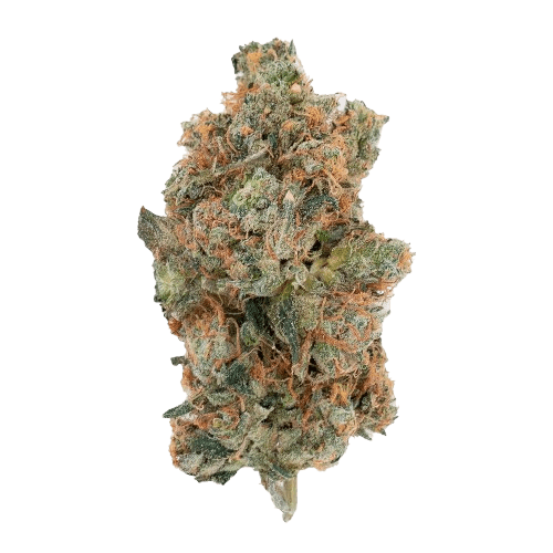 Remexian 27/1 RAS GRT