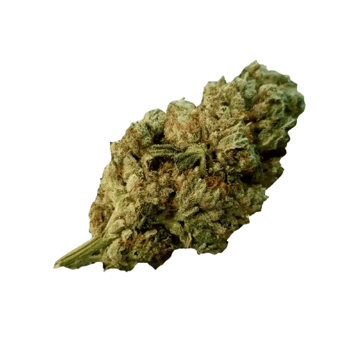 Tilray THC 22 Spotlight Porto Gorilla Glue