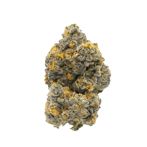 Drapalin 31/1 Da Fux Gary Payton x Gushers 