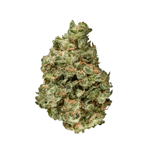 Remexian 20/1 MHI MAD Magic Dream