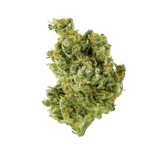 HiDealz 27/1 MS HWH Honeydew Haze