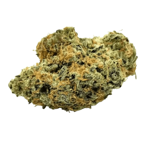 Nimbus easy 30/1 La Sage