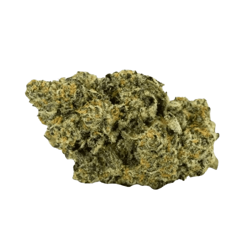 Barongo 26/1 LAK LA KUSH