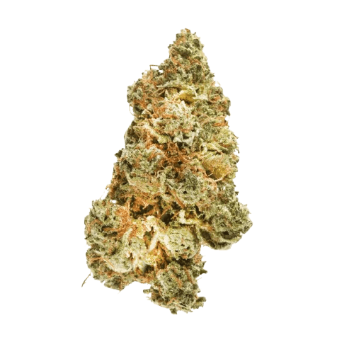 Big Dreams 21/1 ALB OGC OG Cheese