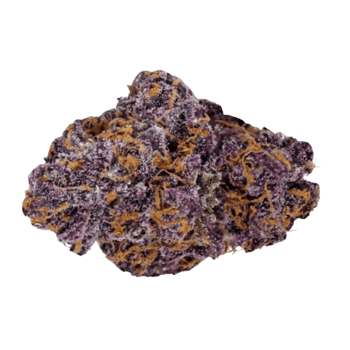 Tilray THC22 Spotlight Porto Purps