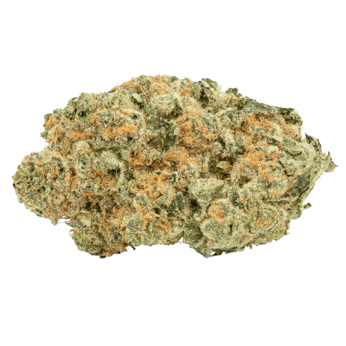 avaay 30/1 MIM Midnight Mimosa
