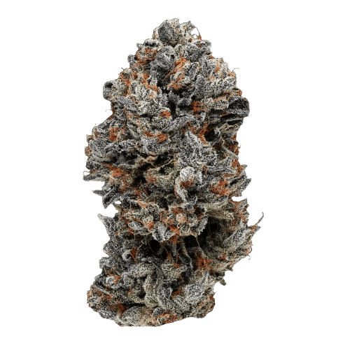 Slouu 33/1 COZ CA Cookies OZ