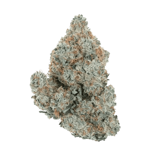 Coyote Valley 16/1 SBLI Sticky Bomb Liberty