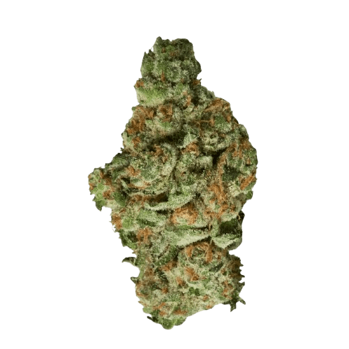 420 Natural 30/1 CA TGO Triangle Octane