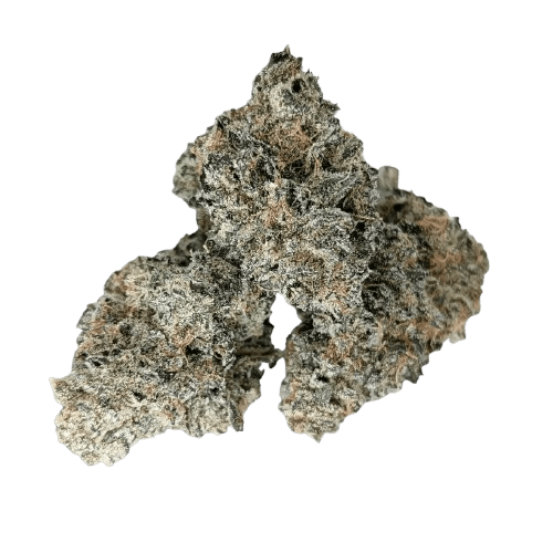 KHIRON GP 30/1 Gordito Perqueno