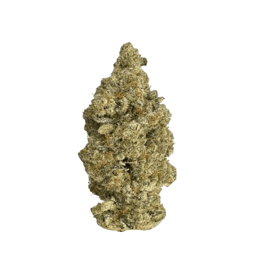 Remexian 33/1 BAG GJY Banana Gas