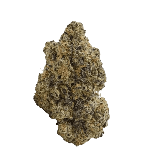 TRUU GT 22:01 Crumbled Lime