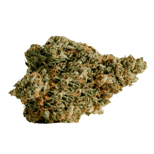 enua 20/1 DB CA Pink Kush