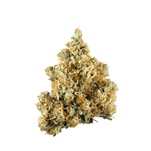 IMC FMO THC27 NYC Diesel