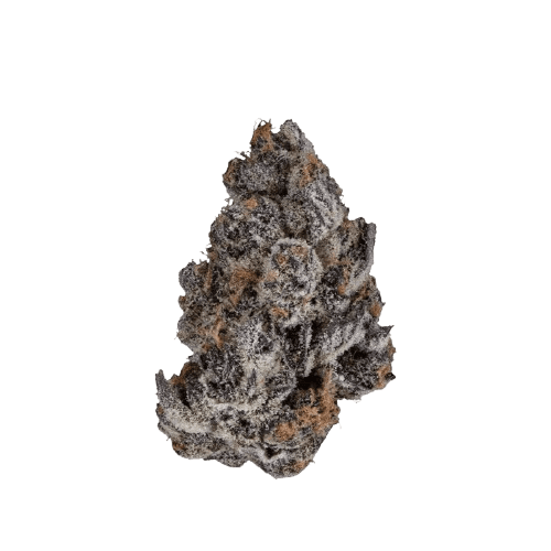 DrWatson 26 SB AUS Super Boof