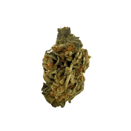 Sibanax GMO Zkittlez 24/1